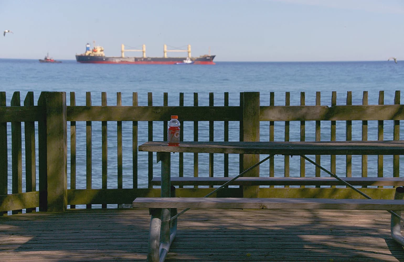 Picnic bench beside the Lakeview Park waterfront with a ship on Lake Ontario beyond.
