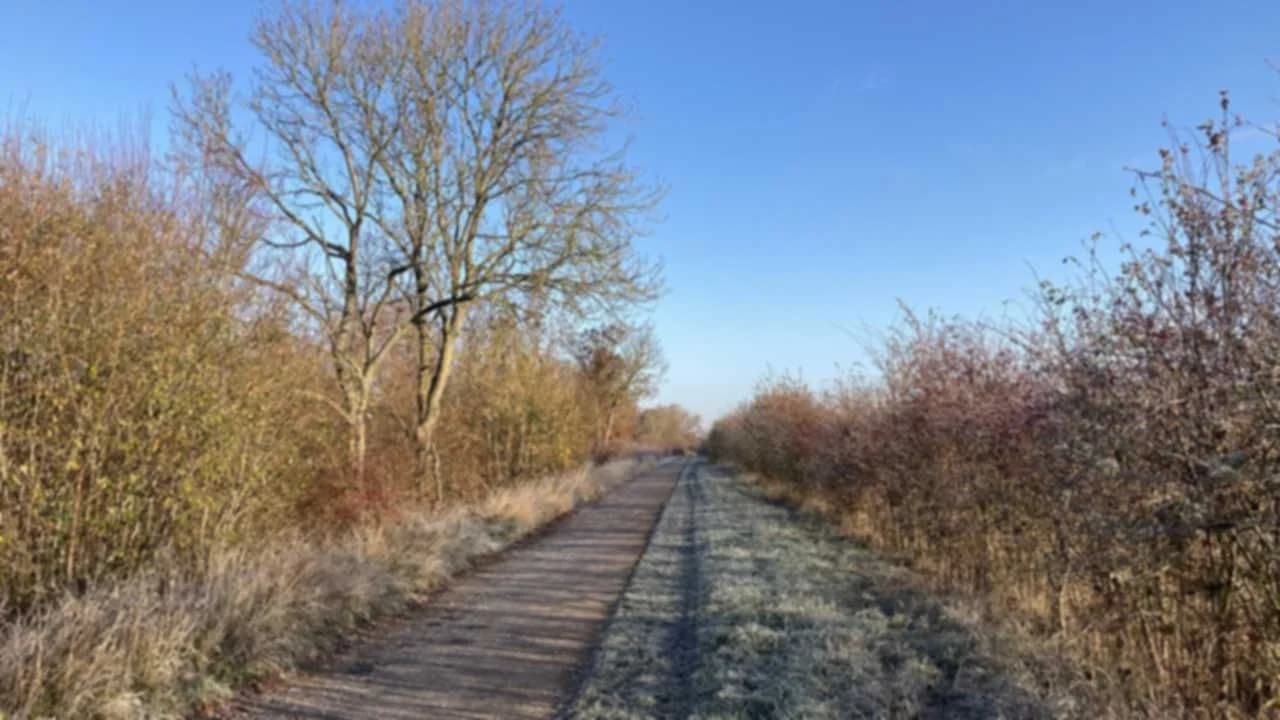 Frost-covered grass along a country path on a clear winter morning