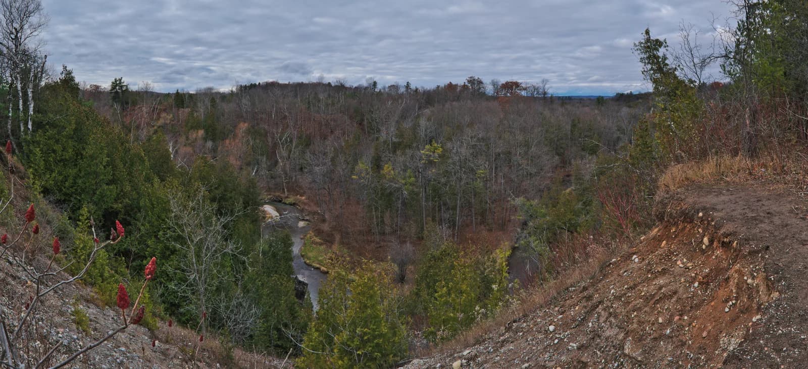 Duffins Creek winding through a wooded valley below Greenwood Conservation Area’s lookout.